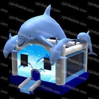 NE007Dolphins bouncer Dolphins bouncerNE007