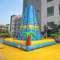 GH062bInflatable rock climbing Inflatable rock climbingGH062b