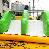 GE145Angry bird obstacles bouncer Angry bird obstacles bouncerGE145