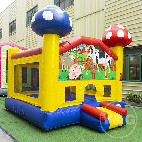 House Jumpers Outdoor Bounce HouseYGB01-2