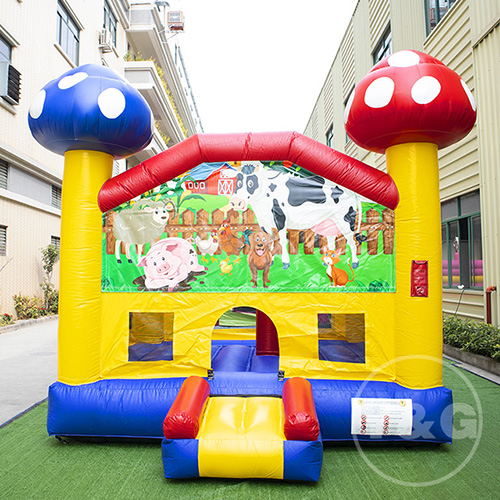 House Jumpers Outdoor Bounce HouseYGB01-2