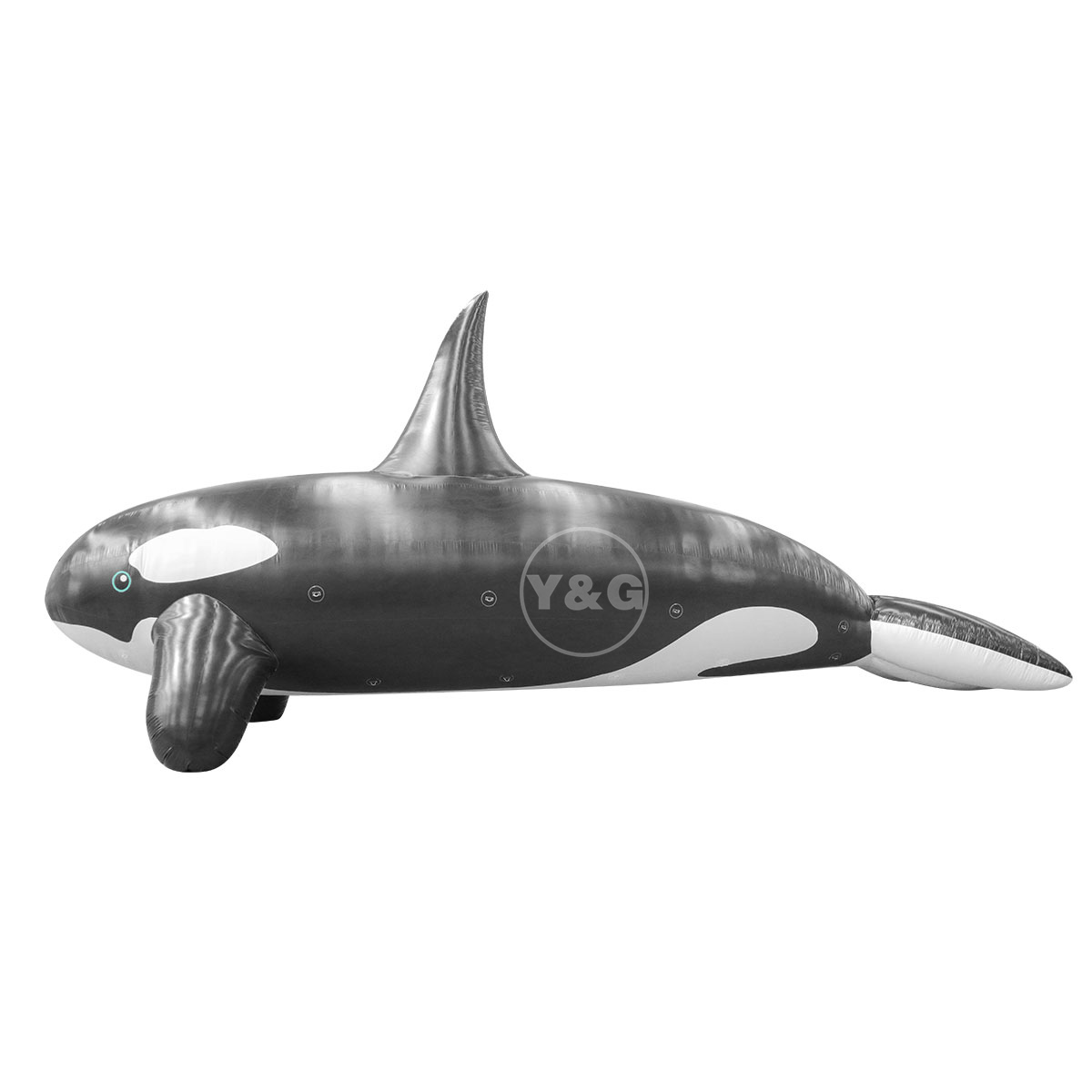 Inflatable black dolphin balloonGO072