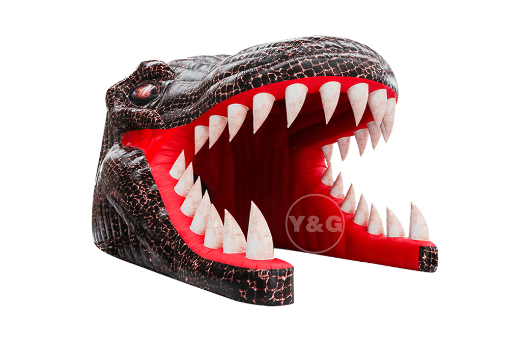 Inflatable dinosaur shapeGC149